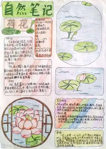 30名沈阳青少年荣获自然笔记大赛三等奖