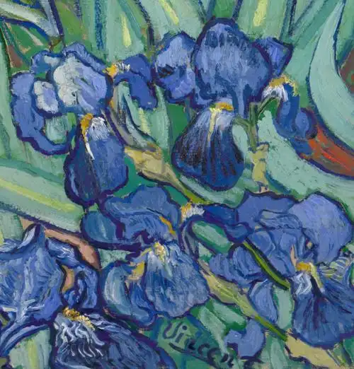 梵高《鸢尾花》油画高清图片赏鉴
