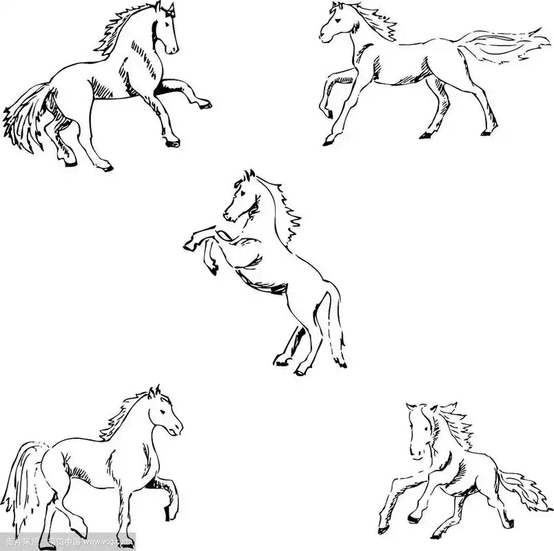 马,手绘素描,铅笔画