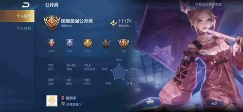 王者荣耀安卓qq区租号8.