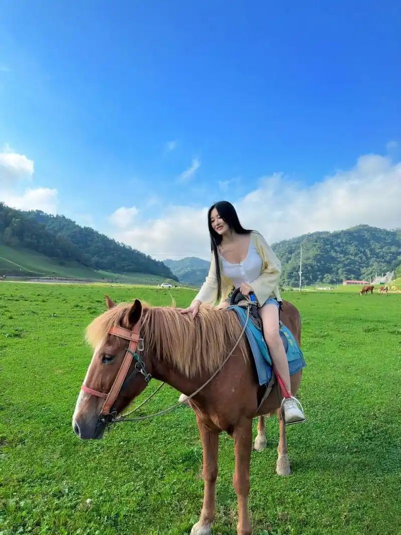 西安周边游|关山牧场旅游攻略 西安小瑞士 真的太美了 从西安出发