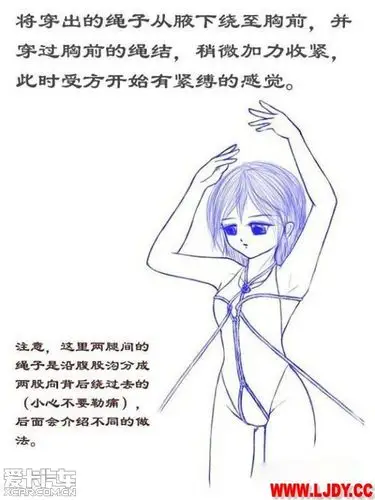 转:xe的龟甲缚漫画教学
