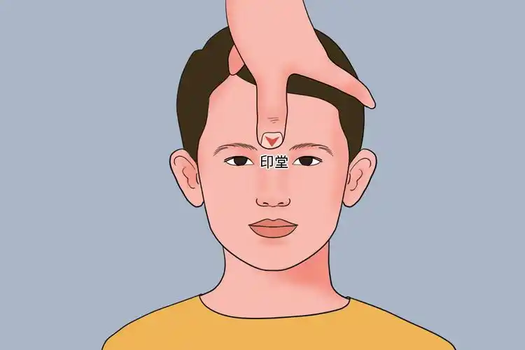 印堂位置图