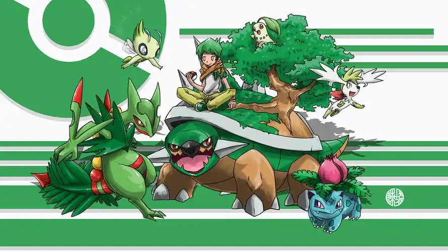 mega蜥蜴王,雪拉比,土台龟,菊草叶,妙蛙草,天空雪米