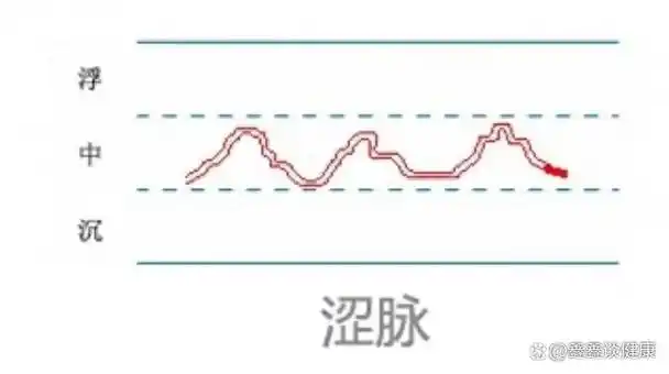中医28脉诊歌诀及示意图「建议收藏」