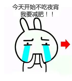 今天开始不吃夜宵,我要减肥! - 斗图表情包 - 爱逗图