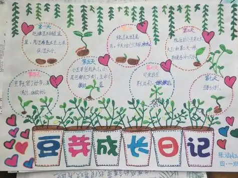 儿童植物手抄报 儿童植物手抄报图片大全