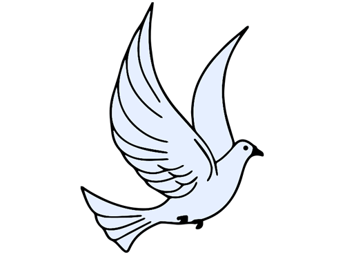 幼儿亲子飞鸽简笔画