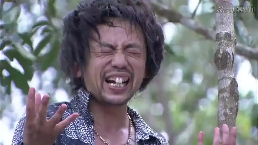 火蓝刀锋:蒋小鱼和沈鸽吵架斗嘴,把鲁炎笑得合不拢嘴,太逗了