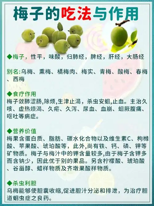 夏天吃梅子的不同吃法92与作用73码住