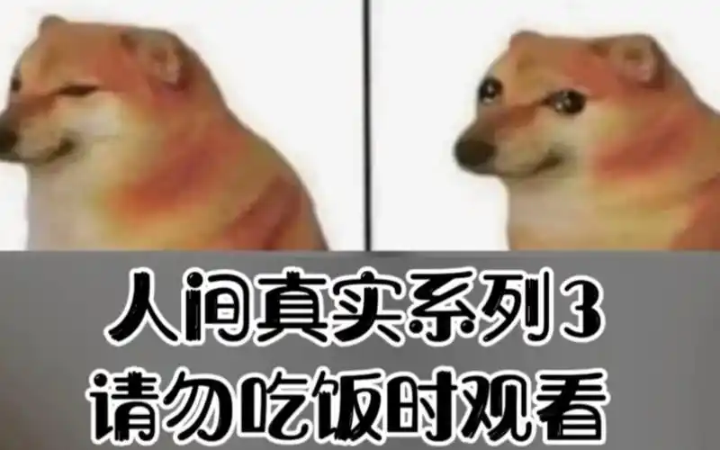 人间真实系列搞笑梗图