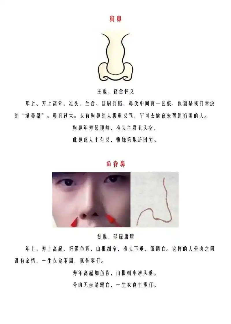 鼻相③.#国学文化 #面相 #识人术 #鼻子 #变美 - 抖音