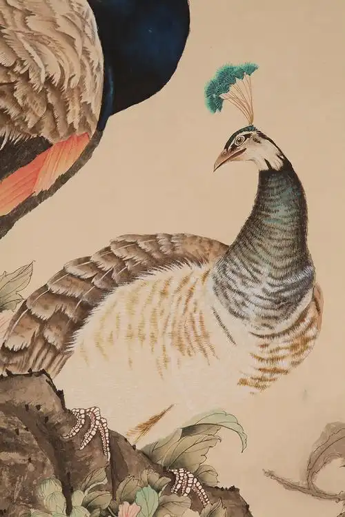 田世光 孔雀 tb111038