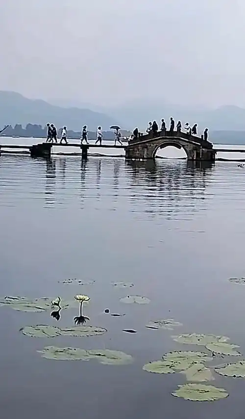 杭州西湖美景,  来杭州一定要走一趟断桥 ,好山好水好风景  - 抖音