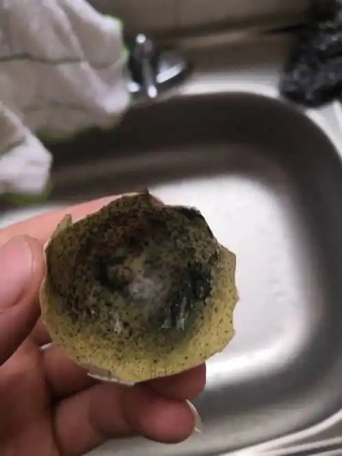 剥开皮蛋后发现内壳有小黑点,是发霉了么?