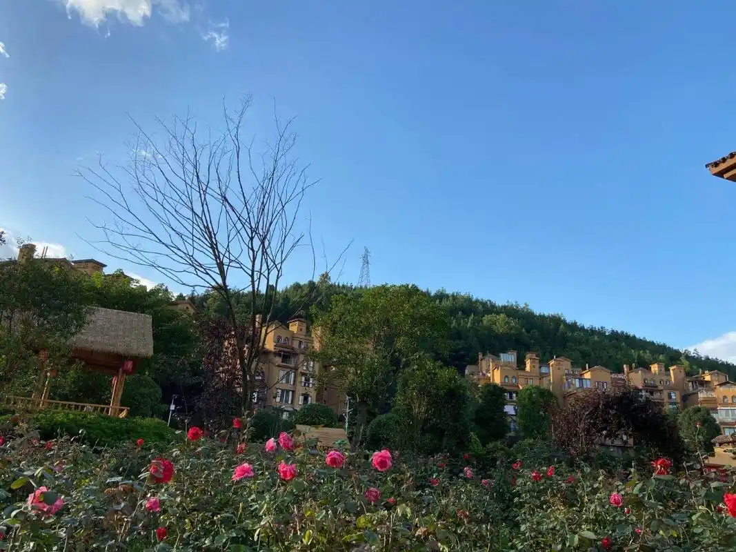 桐梓九坝避暑房:九坝印象