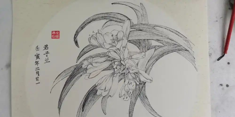 君子兰写生篇