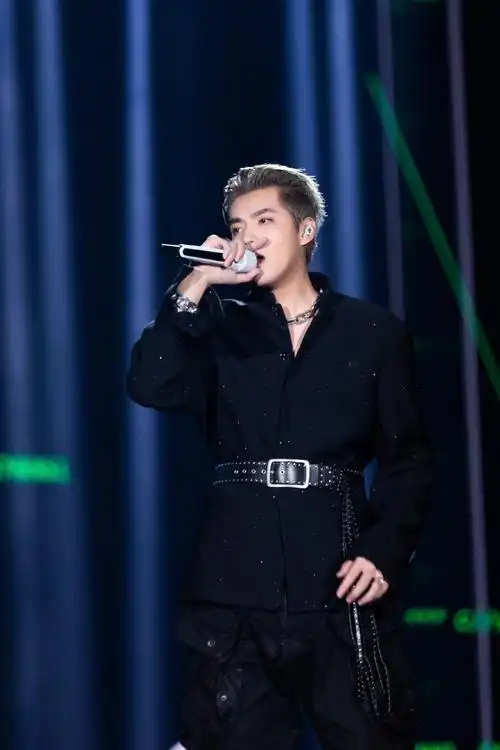 具体阵容上来看: 湖南卫视:吴亦凡,周冬雨,钟汉良,容祖儿,谭松韵,陈学