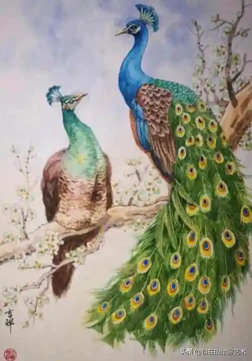 丙烯画,孔雀之美无与伦比,吉祥鸟