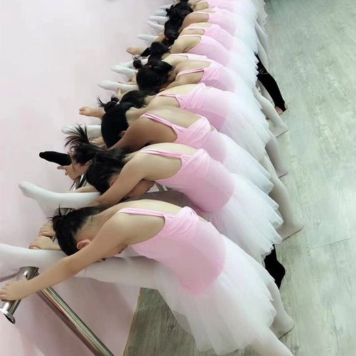 儿童舞蹈服女吊带粉色女童练功服夏季小女孩白纱纯棉连体服跳舞裙