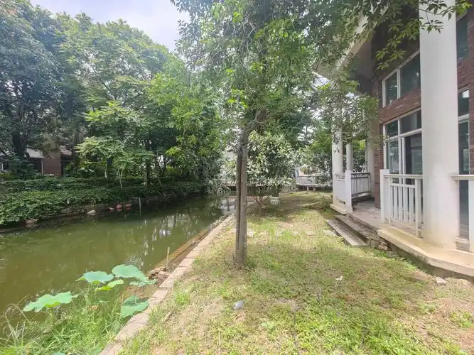 融侨水乡温泉别墅5室2厅3卫338.19㎡南北4300万