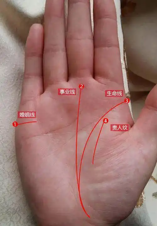 女人离婚手相有什么特征离婚手相算命图解icvlw哪种手相的女人会离婚