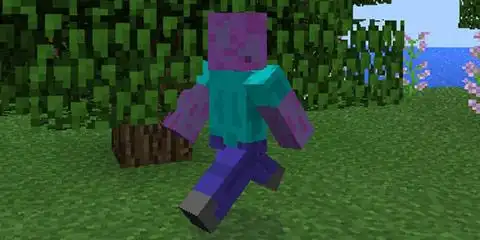 我的世界剧毒僵尸史蒂夫人物皮肤存档