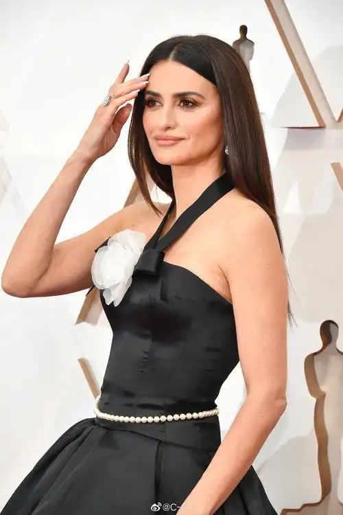 92nd annual academy awards || chanel的两位代言人penelope cruz