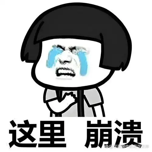 成年人的崩溃任何一点风吹草动都会成为压垮你的最后一根稻草