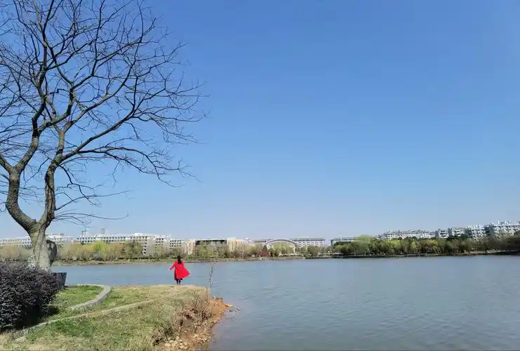 2.20美丽的黄家湖