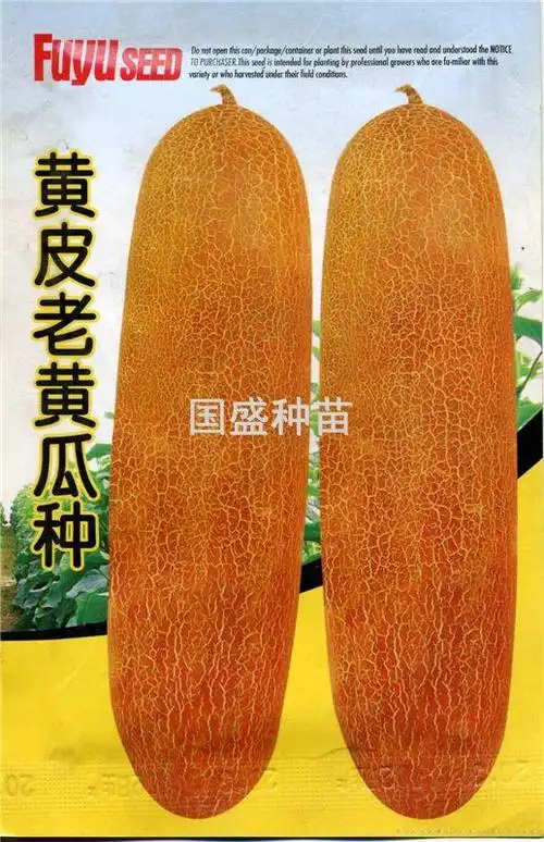 黄皮老黄瓜种