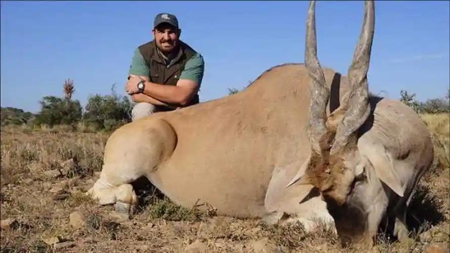 世界上最大的羊最长可长到35米很多牛都比不上