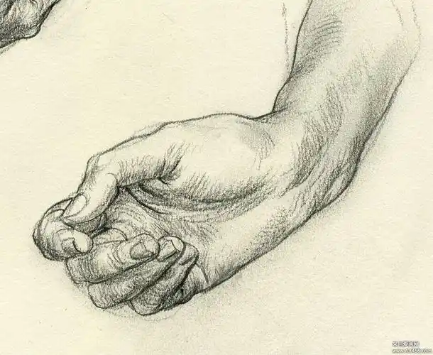 于小冬素描素描手合集素描手部特写