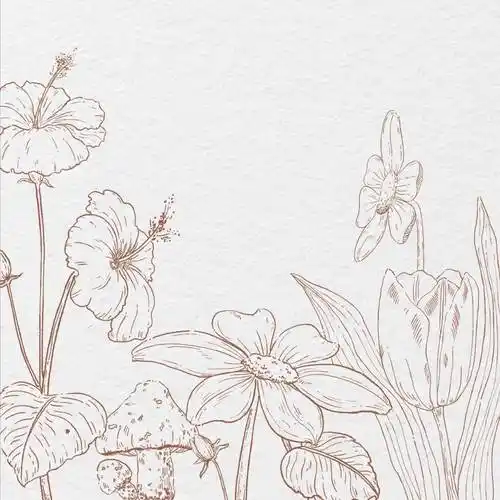 水彩画线稿 水彩画线稿用什么笔