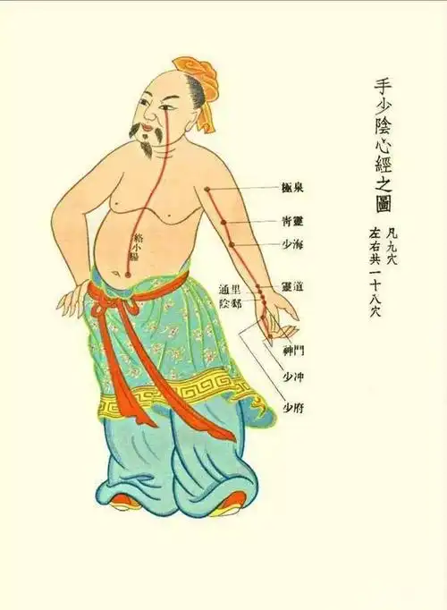 十二经脉之心手少阴之脉白话解