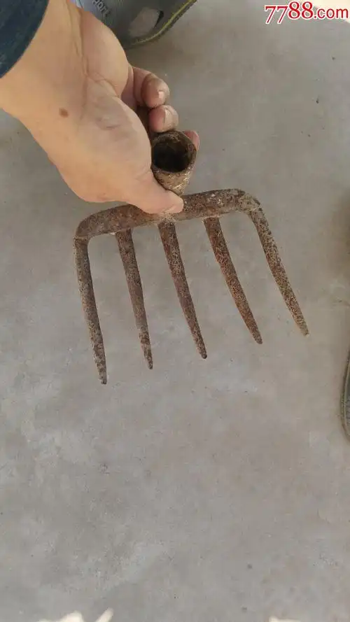 农用工具五齿铁耙子一个