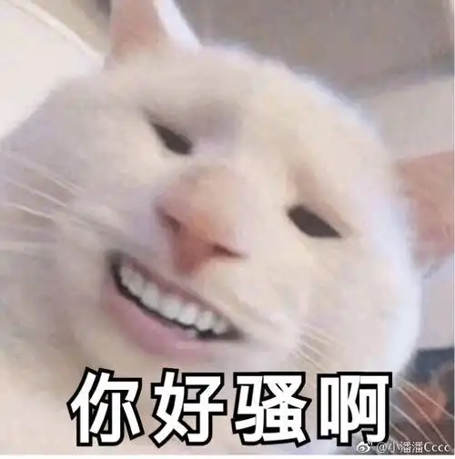 你好骚啊 - 表情包 - 挖吧