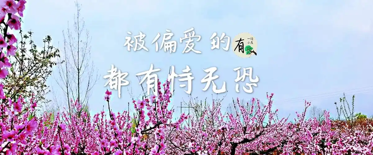 「被偏爱的,都有恃无恐」