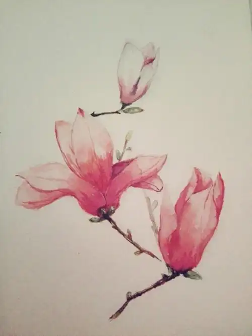 庭前木兰花,皦皦扶春阳.