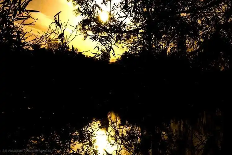 日杂 风景 室内 光影 ins 日杂风 静物 - 7mx.com