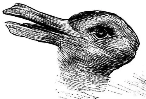 你的眼睛和大脑,在合伙欺骗你