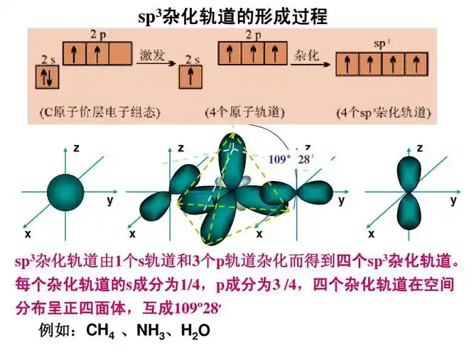 无忧文档 所有分类 高中教育 理化生 杂化轨道理论ppt sp3杂化轨道的