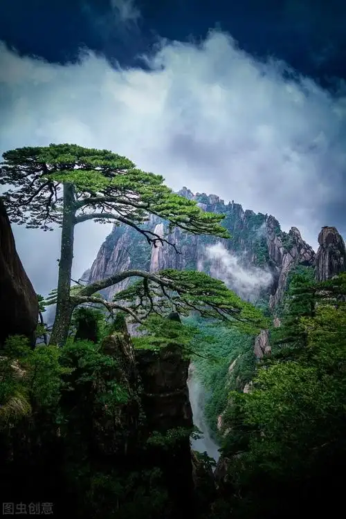 60幅黄山迎客松美图,太好看了
