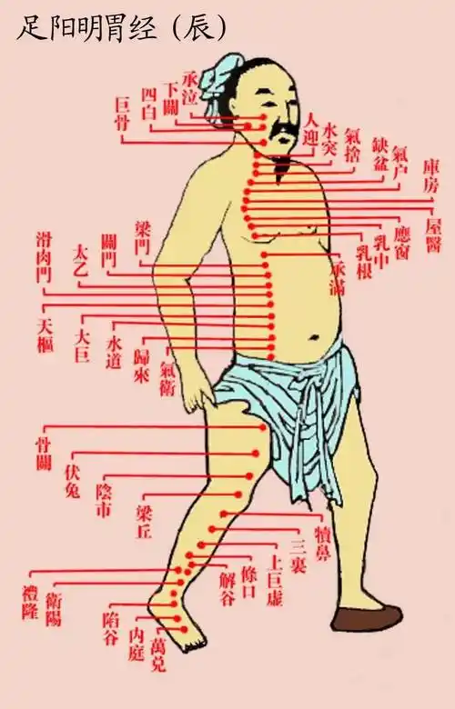 所以说,鼻炎可归属与阳明经病,在经方体系中,阳明病的主方为