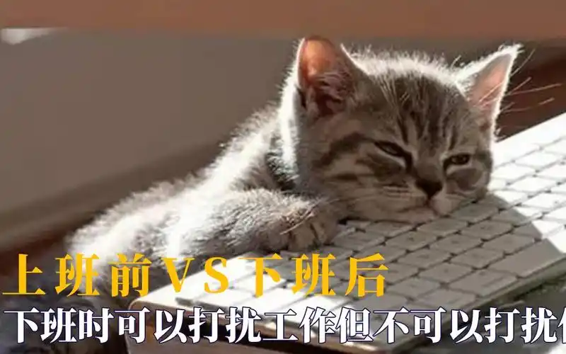 上班前vs下班后这状态是我本人没错了