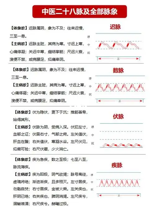 中医28脉及全部脉象97详解·中医知识学习