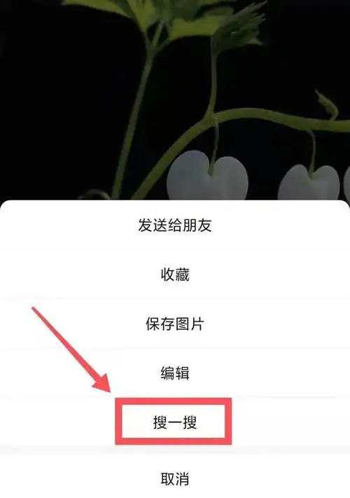 在线识别图片找原图百度识图在线识别图片找原图手机壳