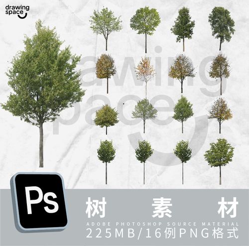 ps树素材16例png格式
