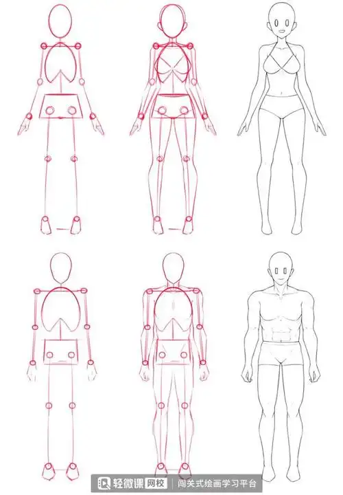 零基础画动漫人体步骤教程
