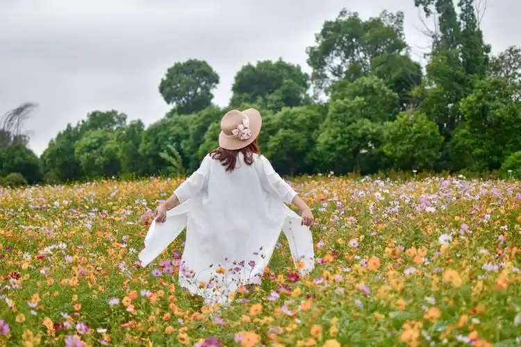 带你一起去花海